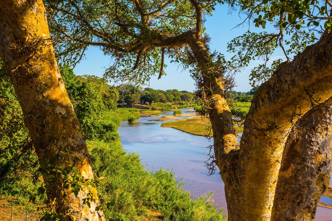 Kruger Rest Camps