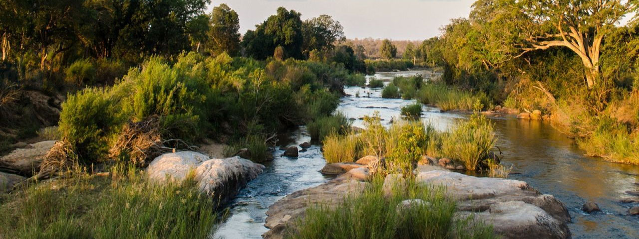 River landscape around Komatipoort in the Lowveld