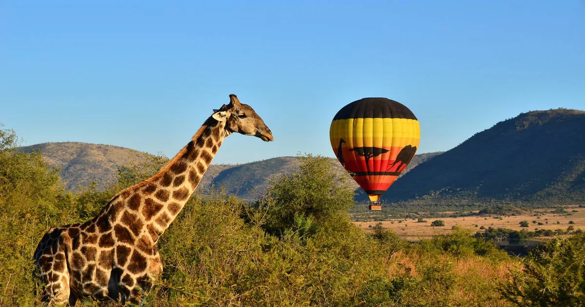 Hoedspruit