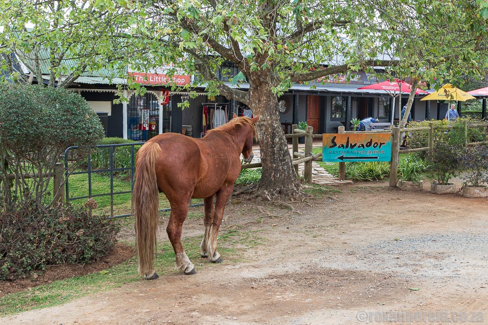 Kaapsehoop mountain village near Mbombela Nelspruit