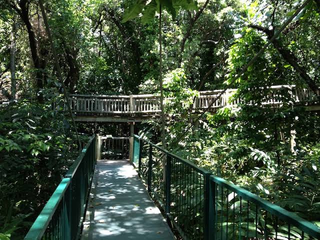 Nature around Mbombela (Nelspruit)