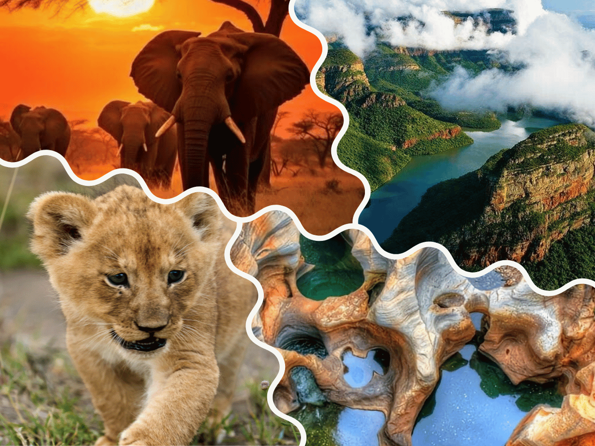 Kruger and Lowveld